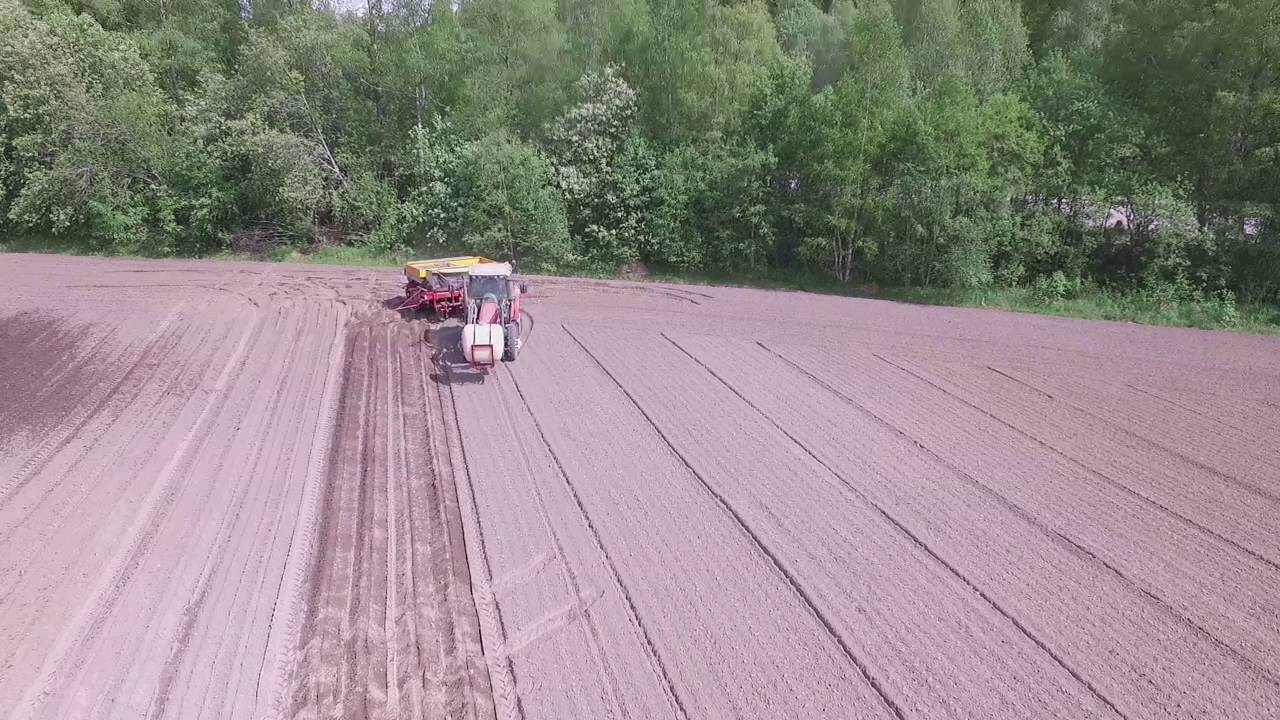 Potetsetting av mandelpoteter i Østerdalen