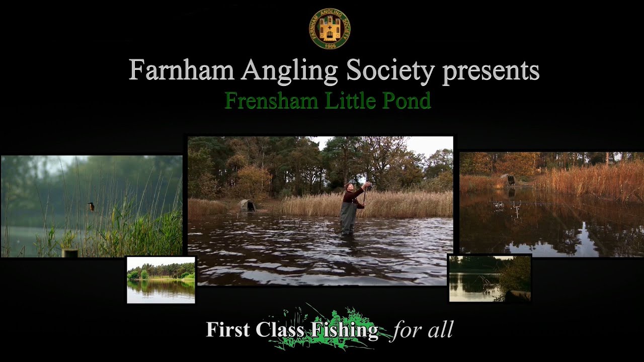 Farnham Angling Society - Frensham Little Pond