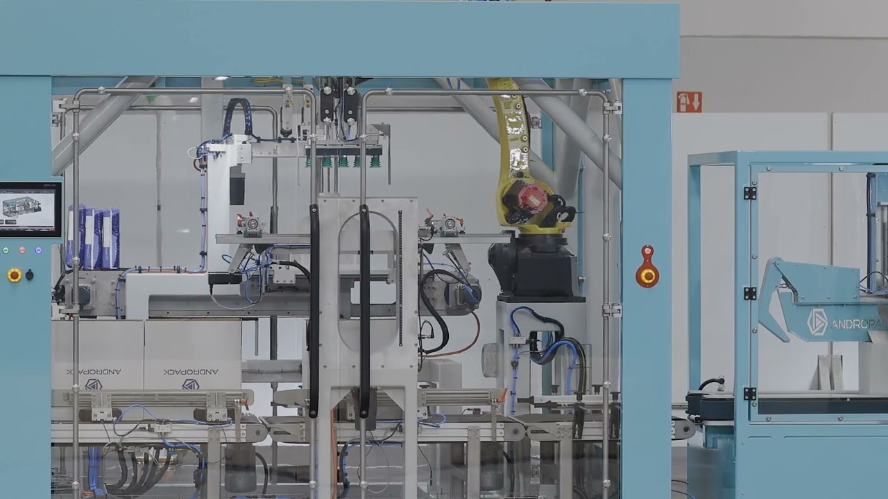 ROBOTIC CASE PACKER FOR SANITARY NAPKIN