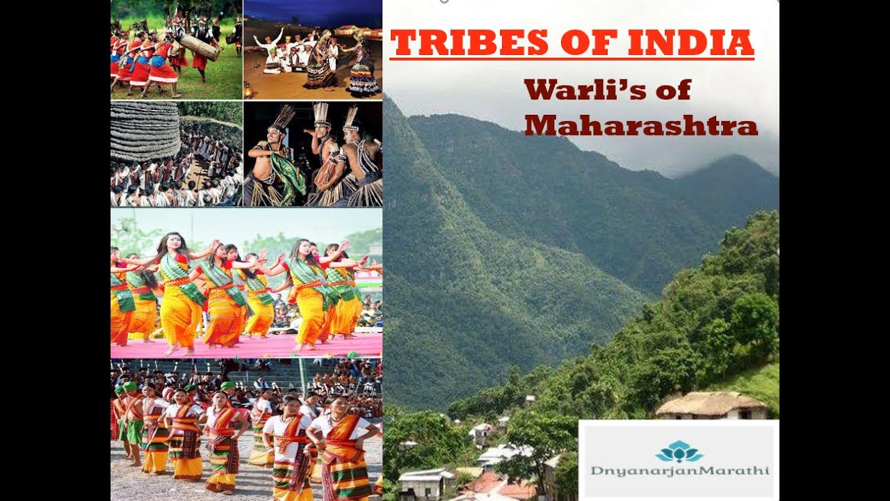 WARLI TRIBE | वारली जमात | TRIBES OF INDIA | IN MARATHI | मराठीमध्ये |  