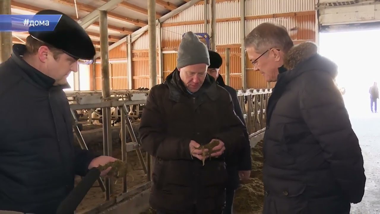 Республика LIVE #дома  Ермекеевский район. «Северная Нива»