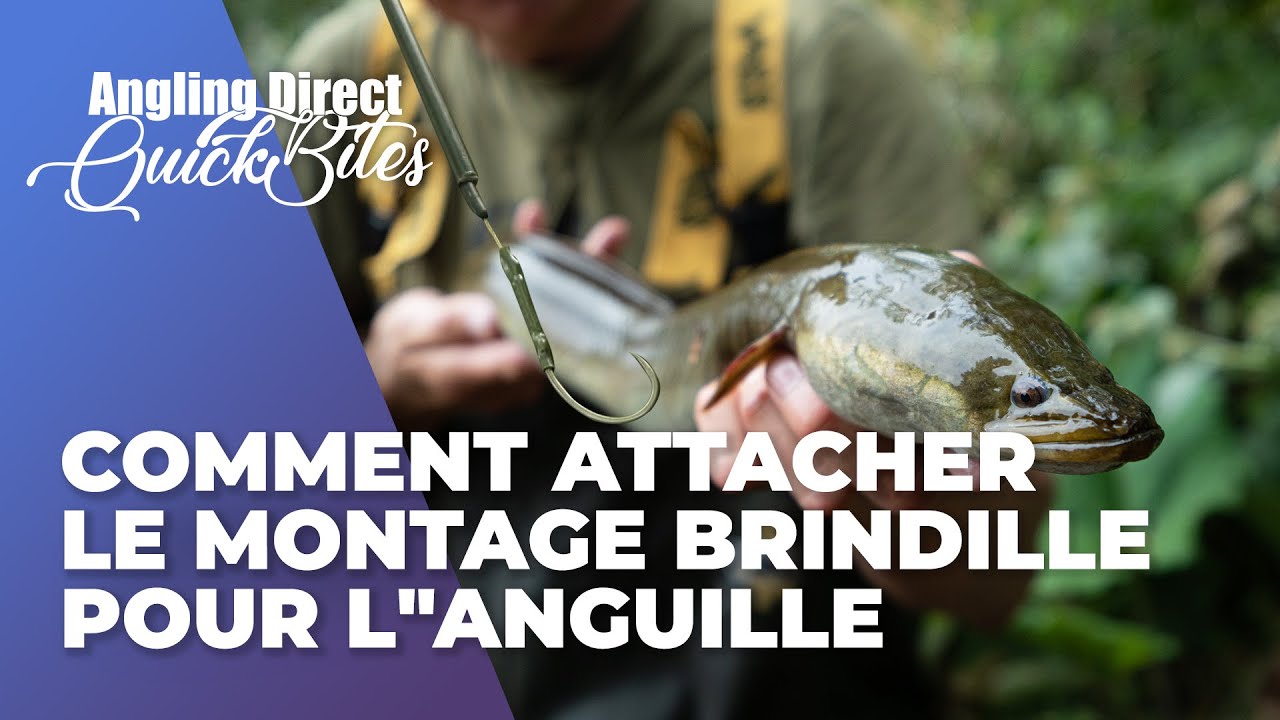 Comment attacher le montage brindille pour l