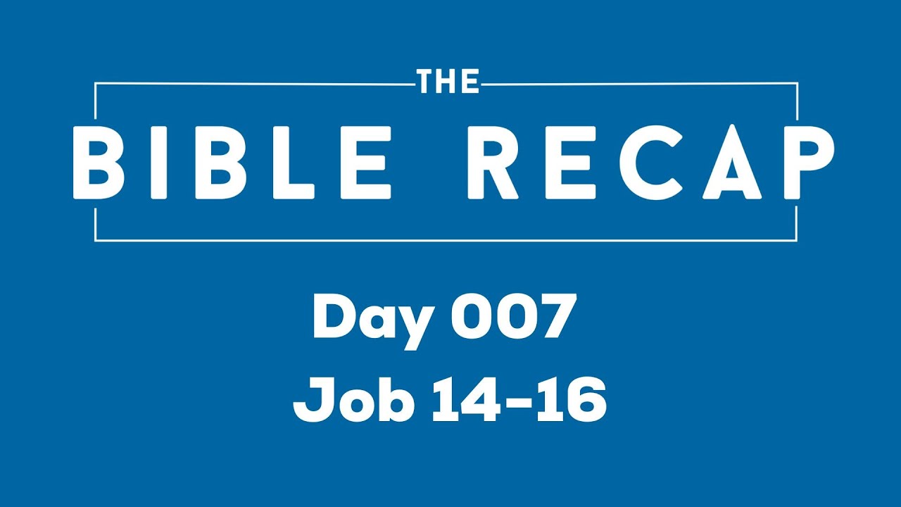 Day 007 (Job 14-16)