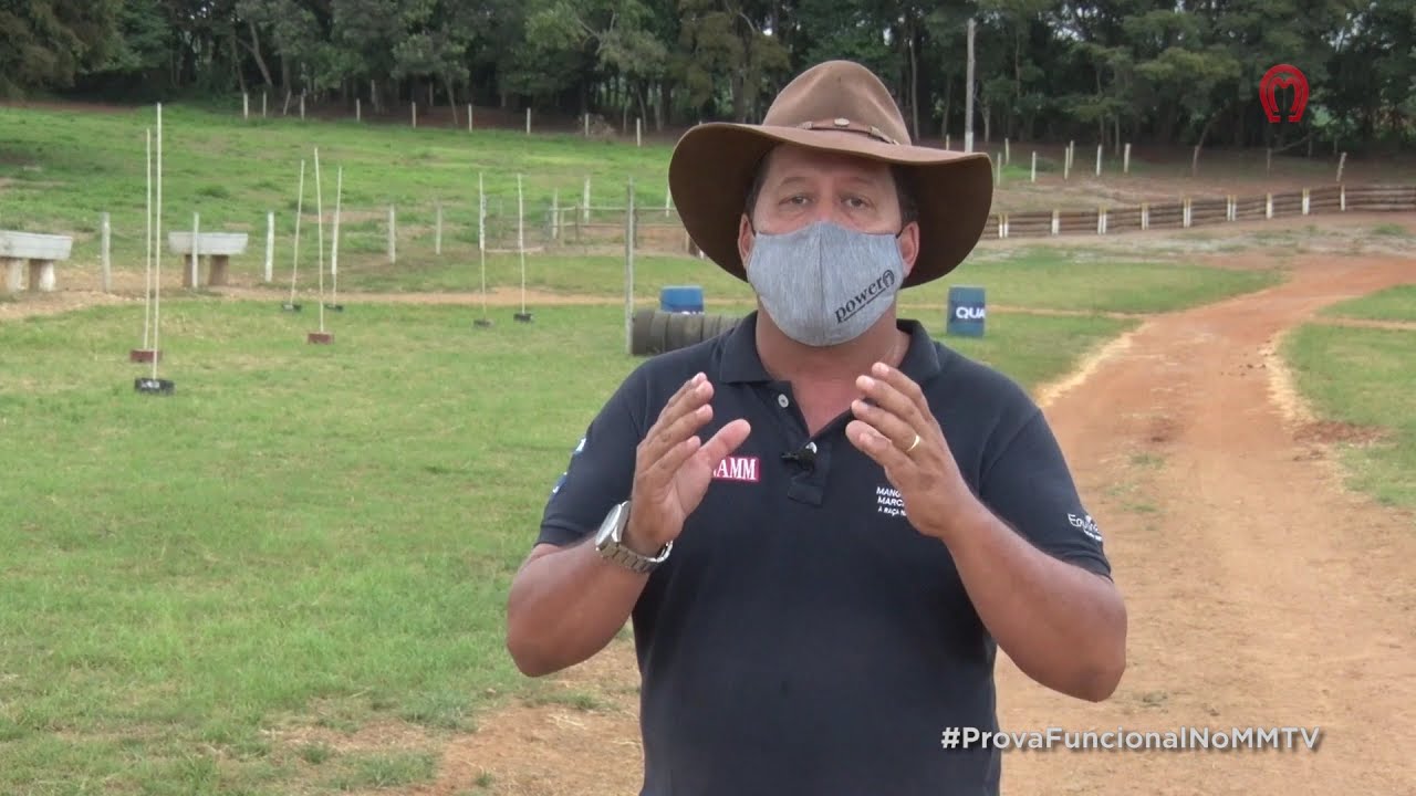 PROVA FUNCIONAL (AVALIA&Ccedil;&Atilde;O DAS FIGURAS)