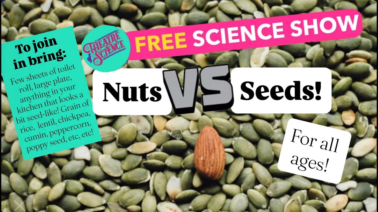 Science Show: Nuts v Seeds!