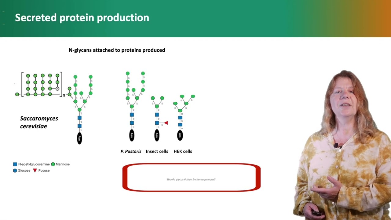 La préparation des échantillons biologiques : 1/ Quel système d'expression pour quel projet ?