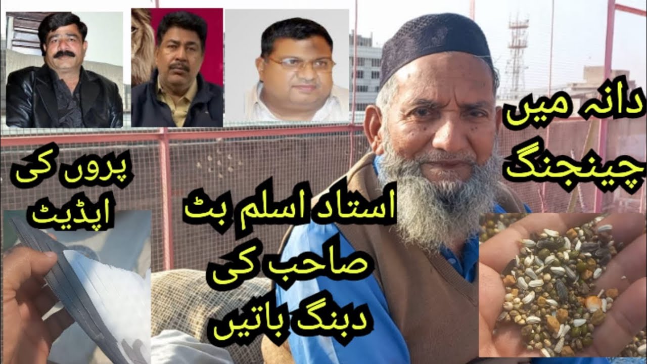 Ustad Aslam butt sb ki ddabang batain or parro ki update.