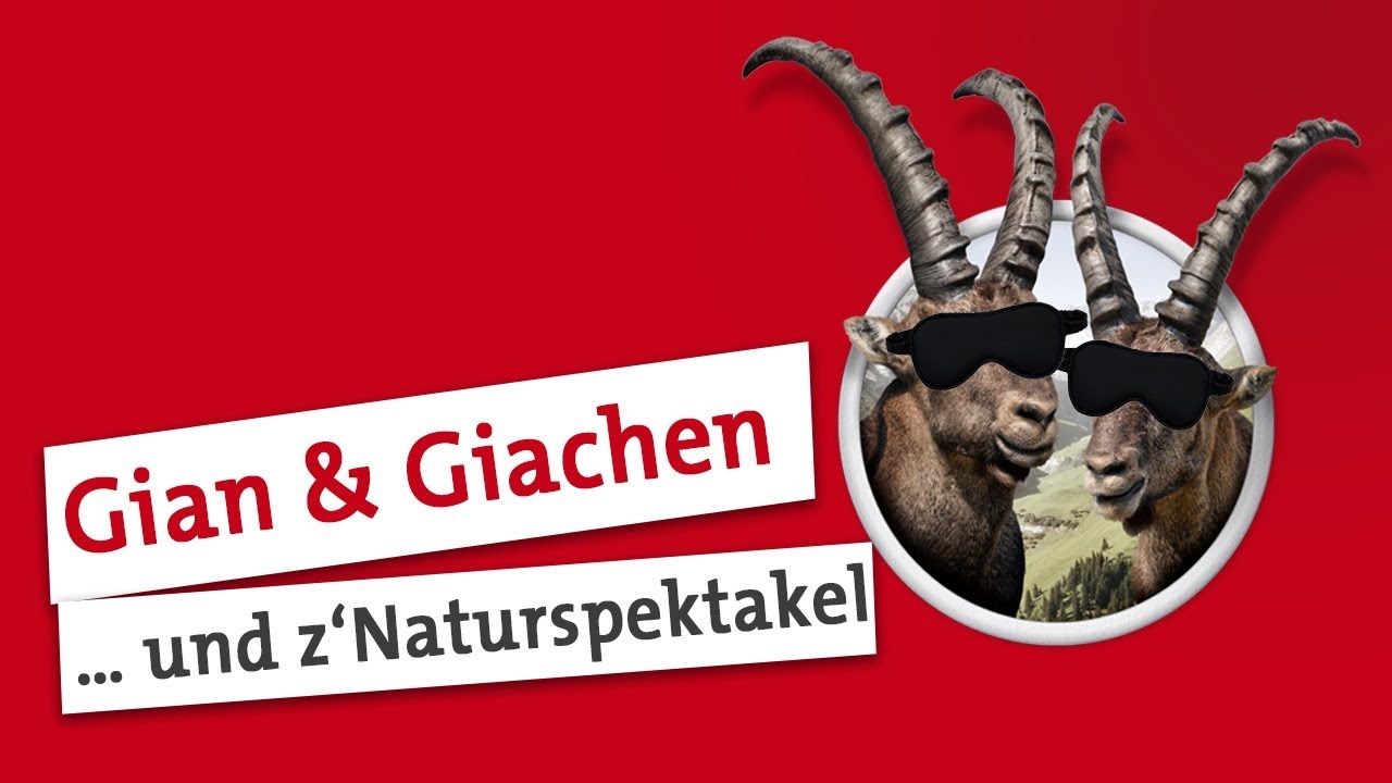 Gian und Giachen: 
