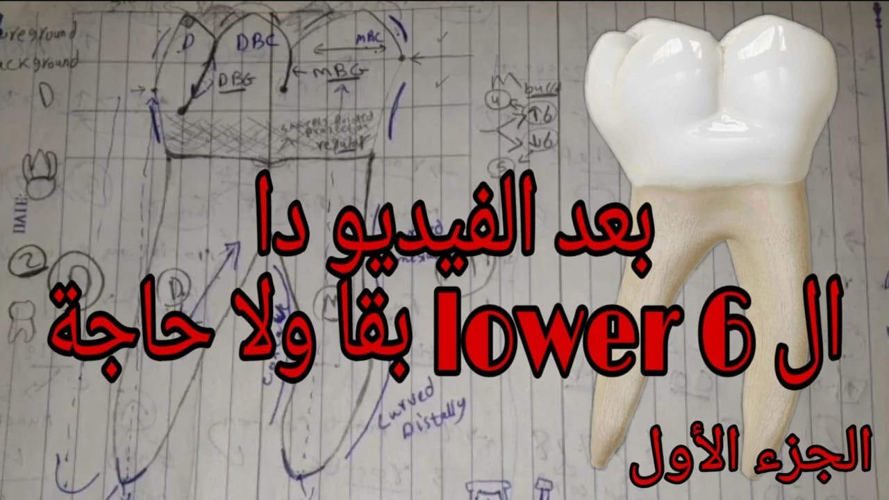 شرح ال lower 6 _ الجزء الأول