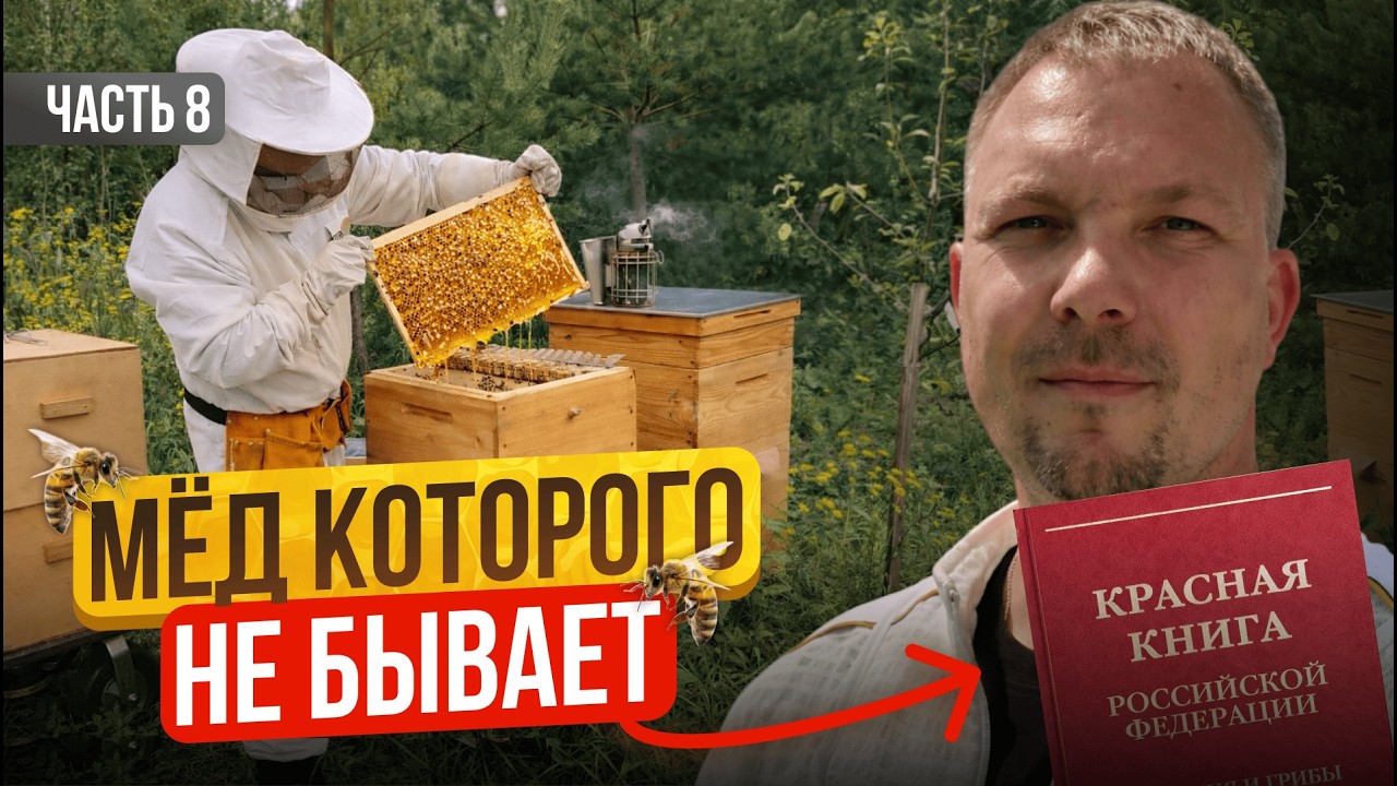 Сбежал с Офиса на Пасеку! Что из Этого Вышло? Строю Пасеку с Нуля| Серия 8