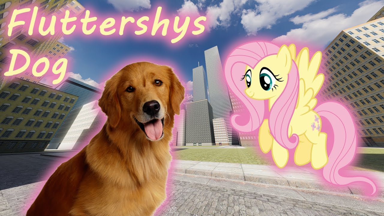 fluttershy's dog...