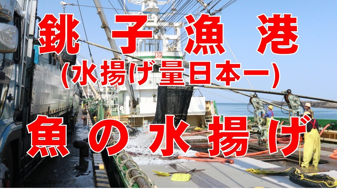 銚子漁港の魚の水揚げ