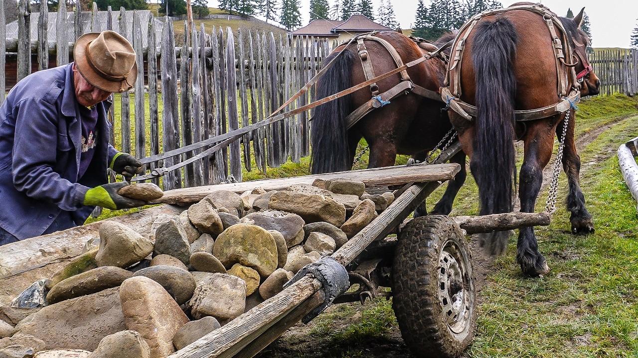 Inside the HARD Life of a Family in the Carpathian Mountains.