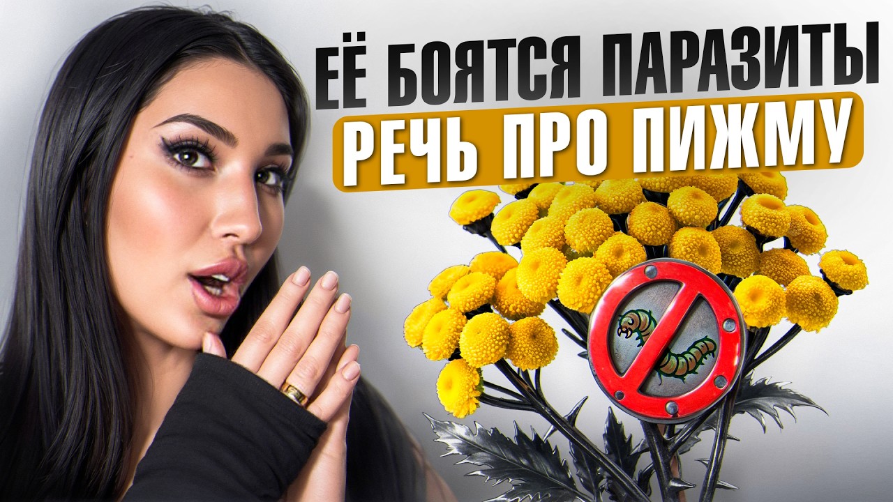 НИКАКИХ ПАРАЗИТОВ, ИДЕАЛЬНАЯ КОЖА И МОРЕ СИЛ: Секрет приема пижмы