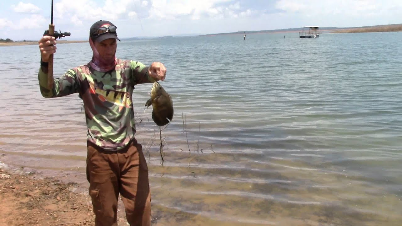PESCARIA DO ACARÁ AÇU OU APAIARI NO LAGO DE TRÊS MARIAS