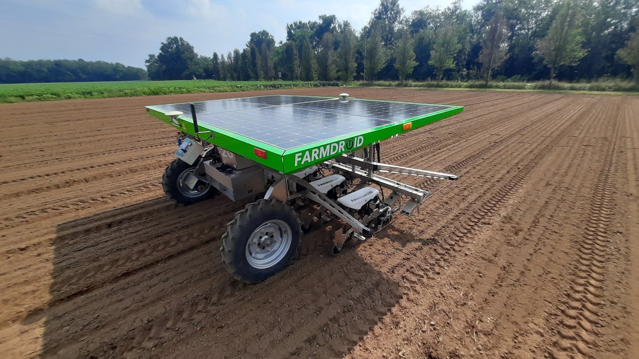 FarmDroid FD 20 - Cipolla (semina)