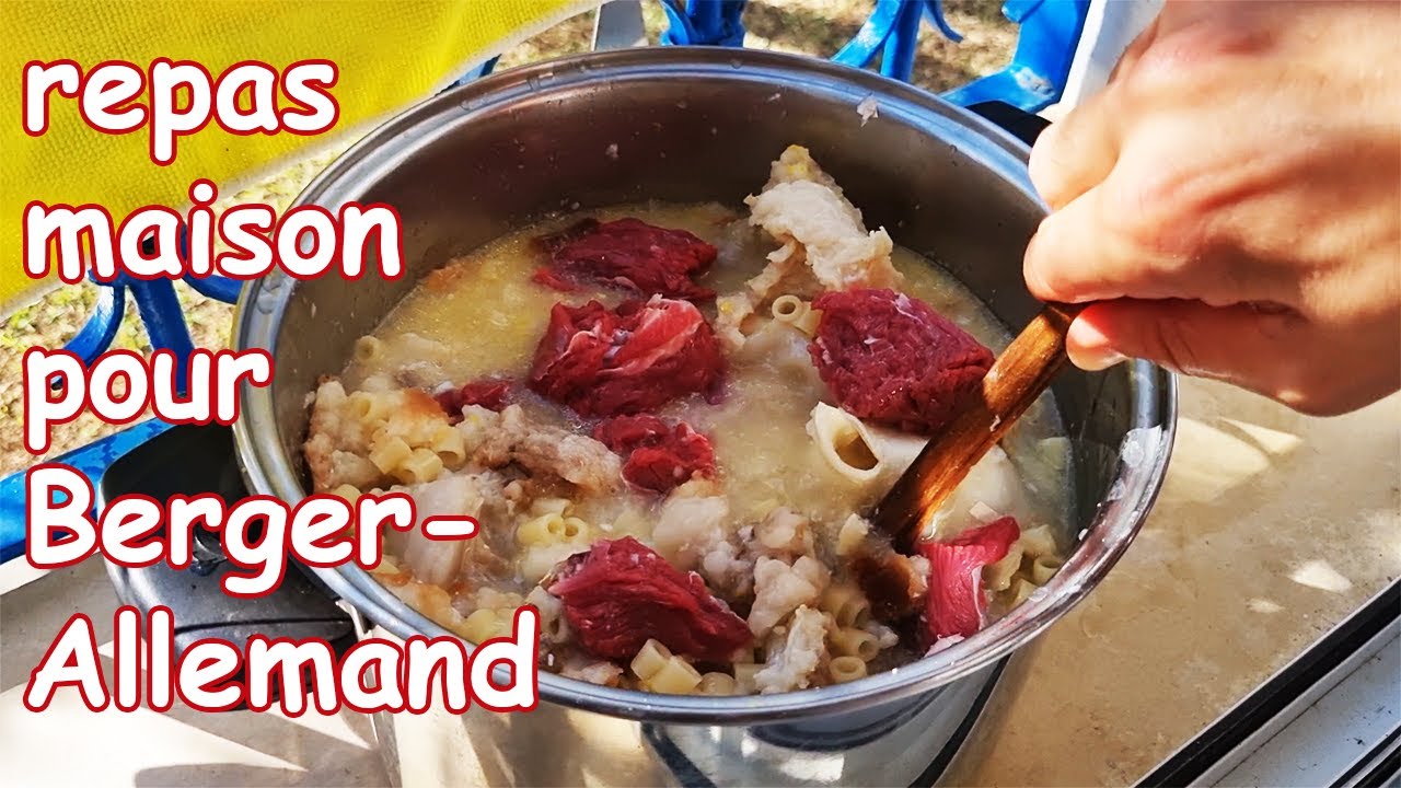 Repas maison pour chien Berger allemand (boeuf au menu)