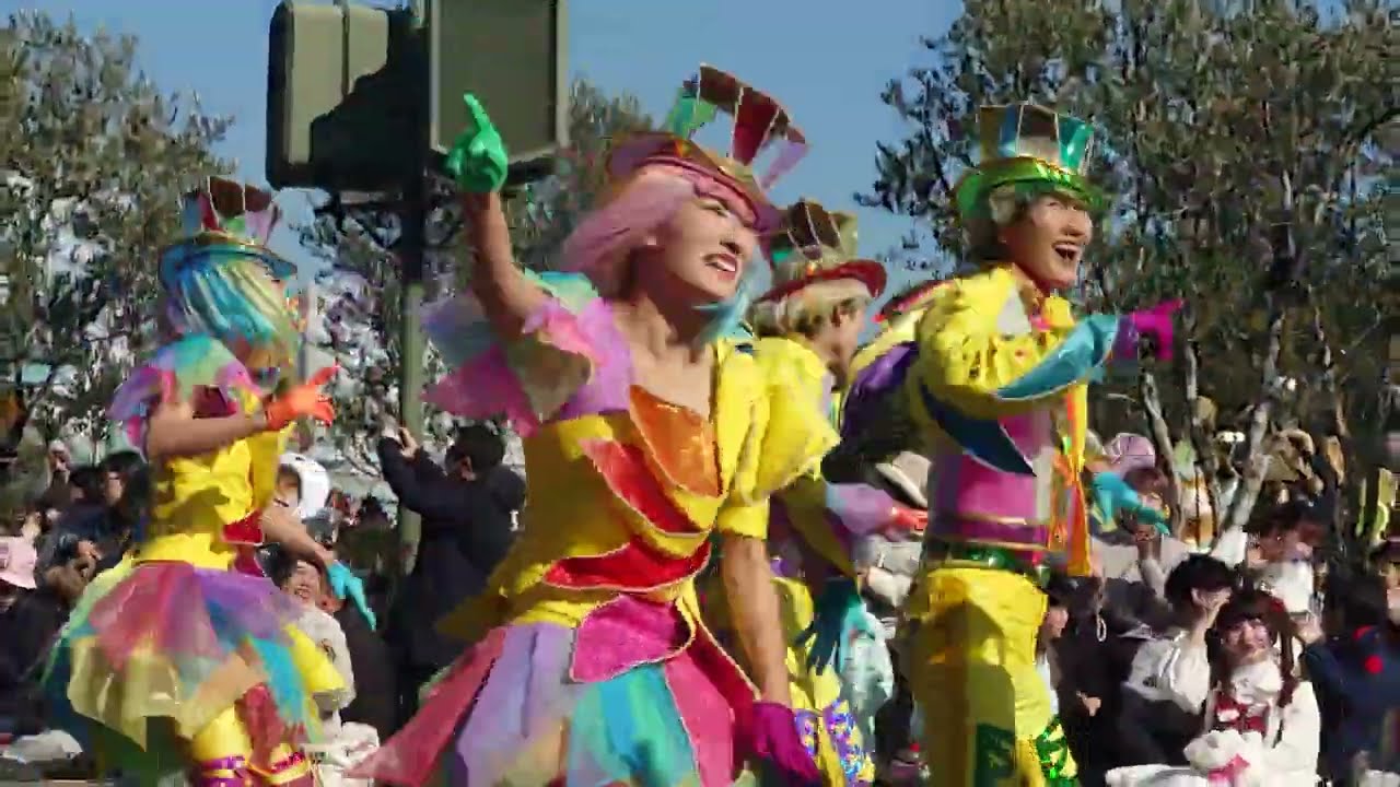 【TDL】DPA最前列！ハーモニー・イン・カラー（2025年1月）
