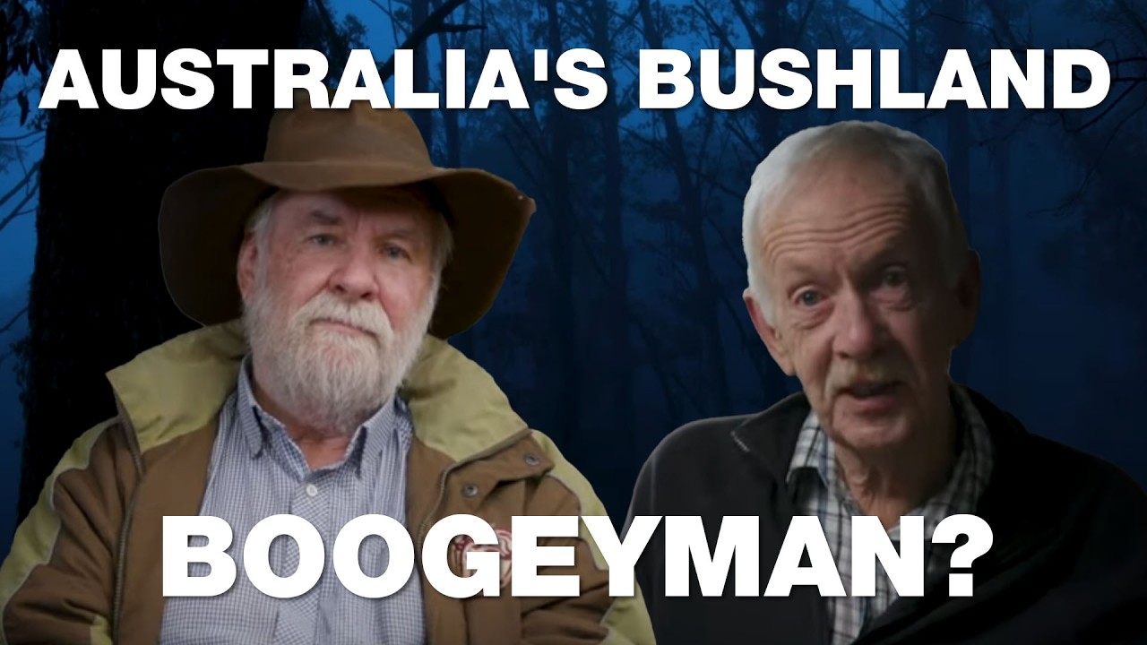 Vanishing Without a Trace in Australia's Alps | SBS The Feed | Short Documentary