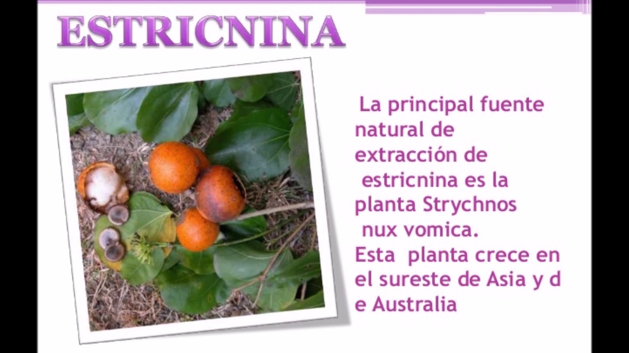 estricnina