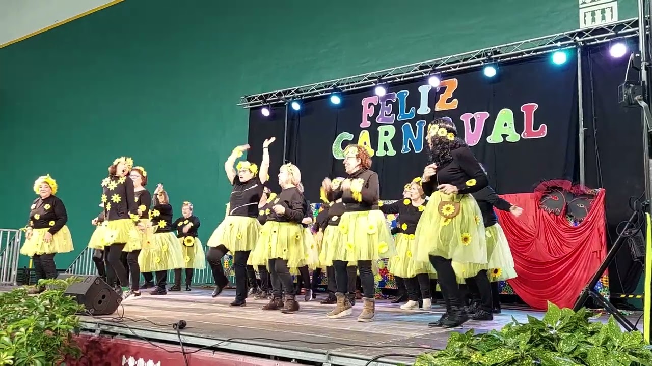 Fiesta de Carnaval Tercera Edad 2026 Logroño. GIRASOLES