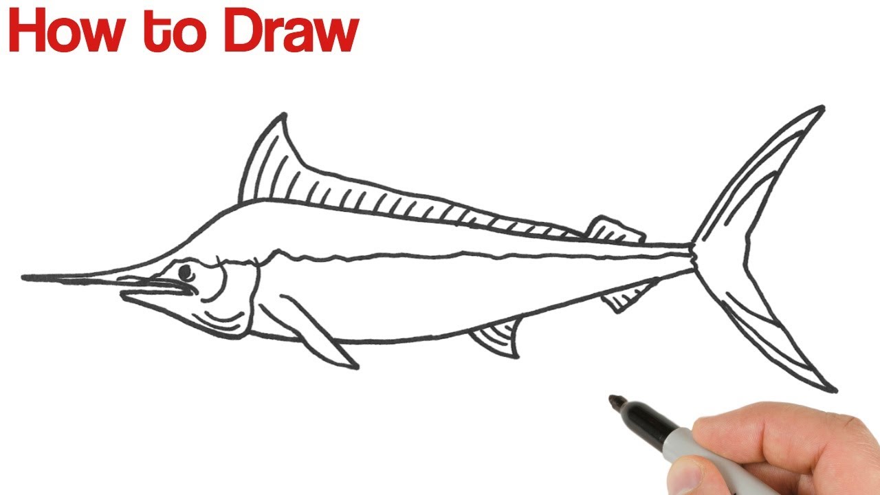 How to Draw Blue Marlin Fish | Animals Drawings for Beginners