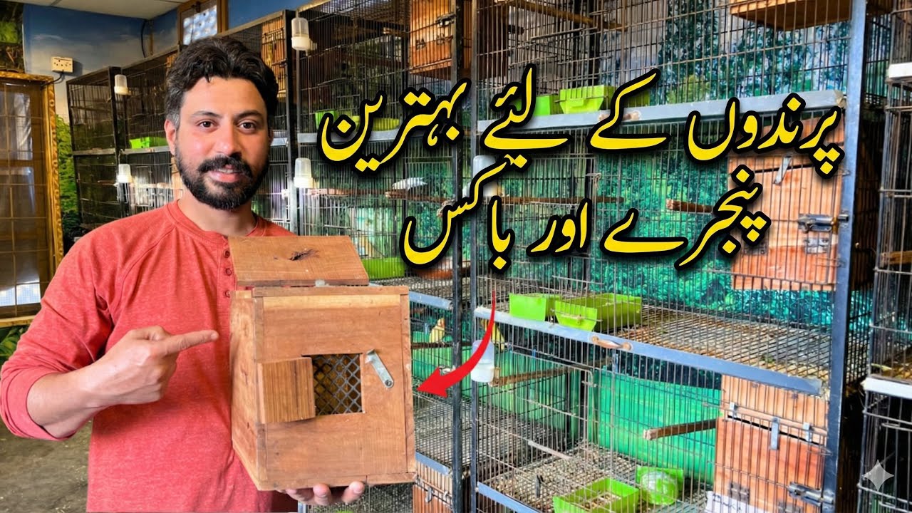 Best Cages for Bird Business? 📉|| Avoid These Mistakes 🚫 || #minizoo #cages #birdsbusiness #petscare