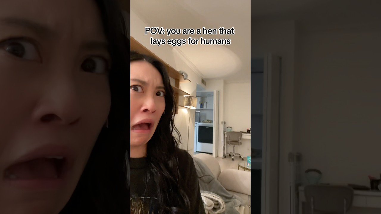 POV: you're a hen that lays eggs for humans