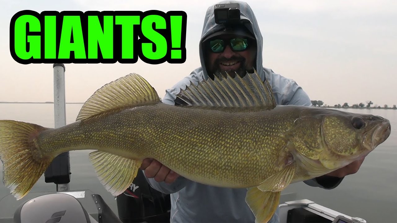 Can I Catch a Giant Walleye in Smoky Waters?