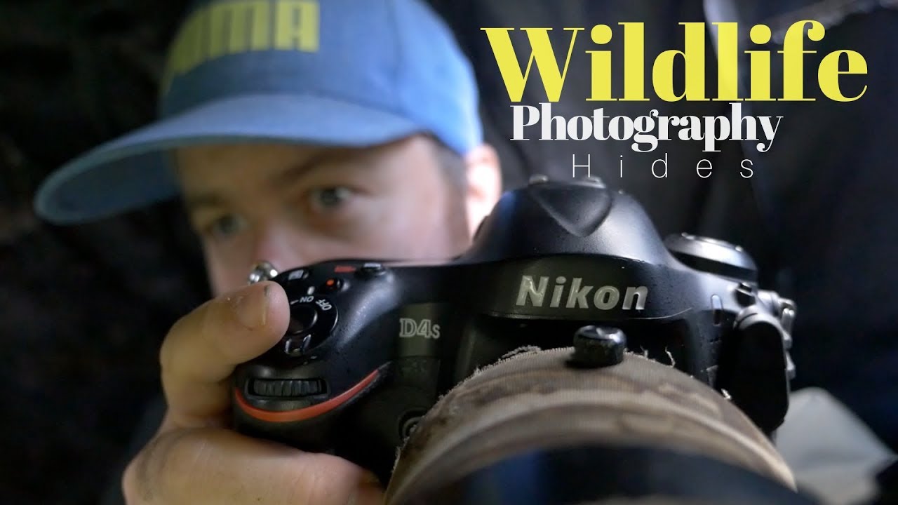 Using hides for WILDLIFE PHOTOGRAPHY | one year on youtube, nikon d4s