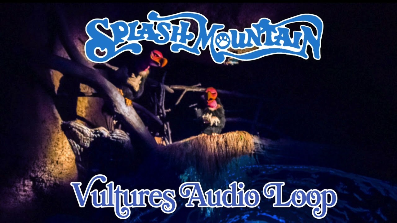 Splash Mountain - Vultures Audio Loop