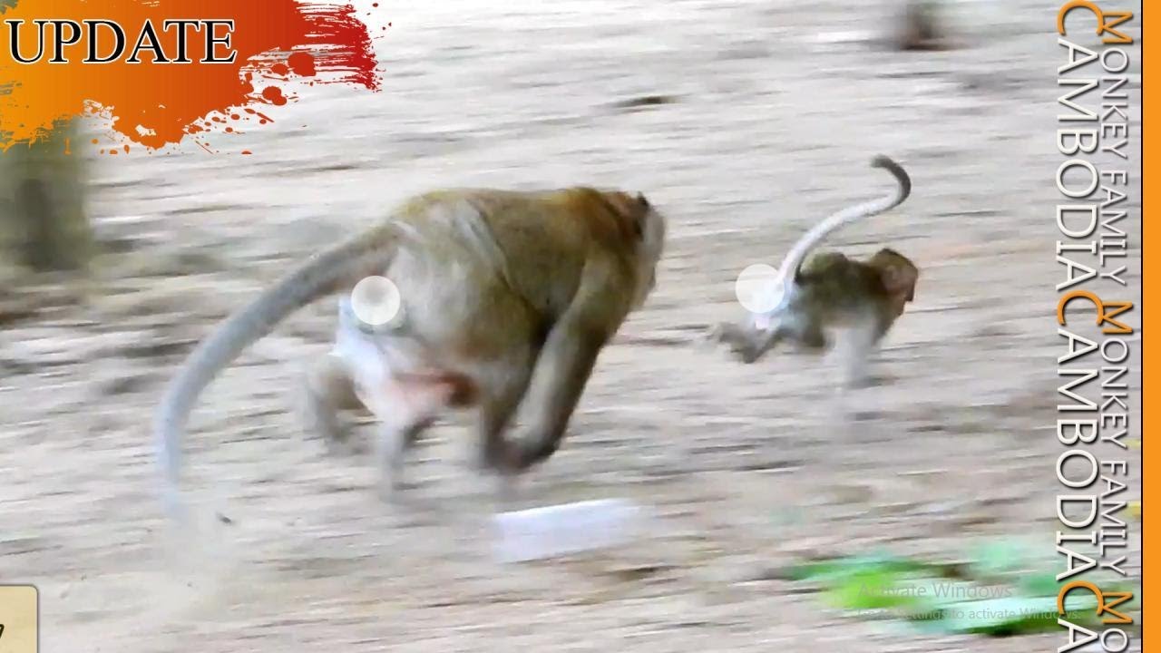 Nearly Lost Life Janna...Mak Furiously Chased Janna