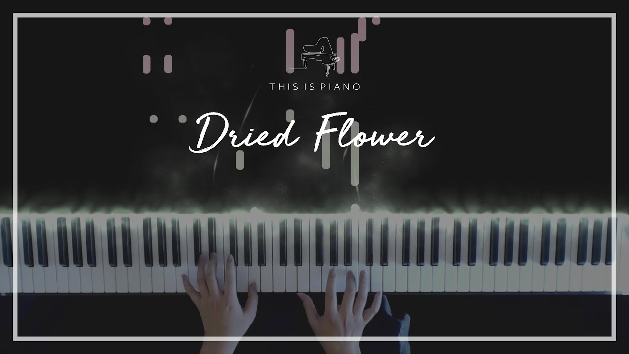 유우리 (Yuuri, 優里) | 드라이 플라워 (Dried Flower, ドライフラワー) | Piano Cover