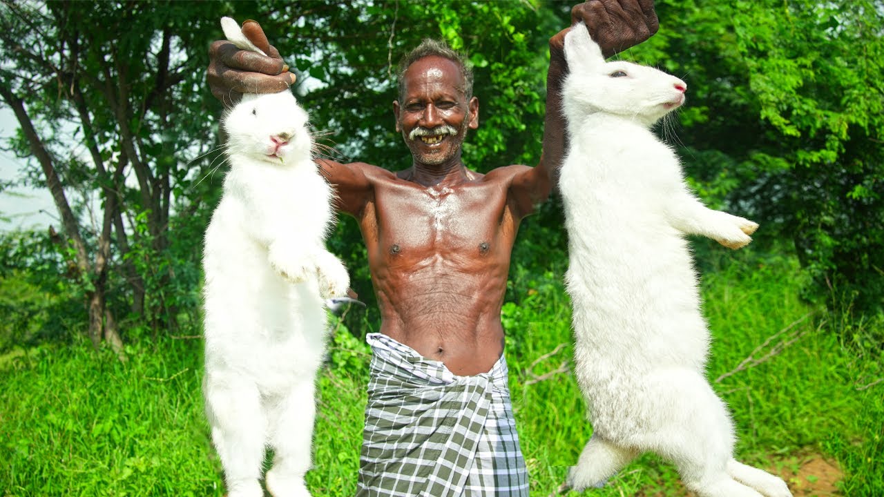 GIANT WHITE RABBIT HUNTING IN WILD | Primitive Technology | Village Grandpa Hunting big Rabbit