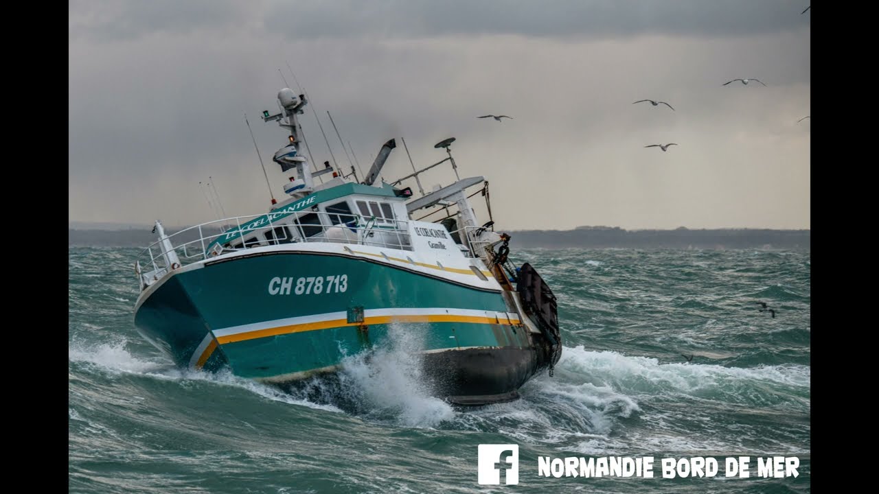 Le Cœlacanthe dans la tempête : hommes et mer en pleine force
