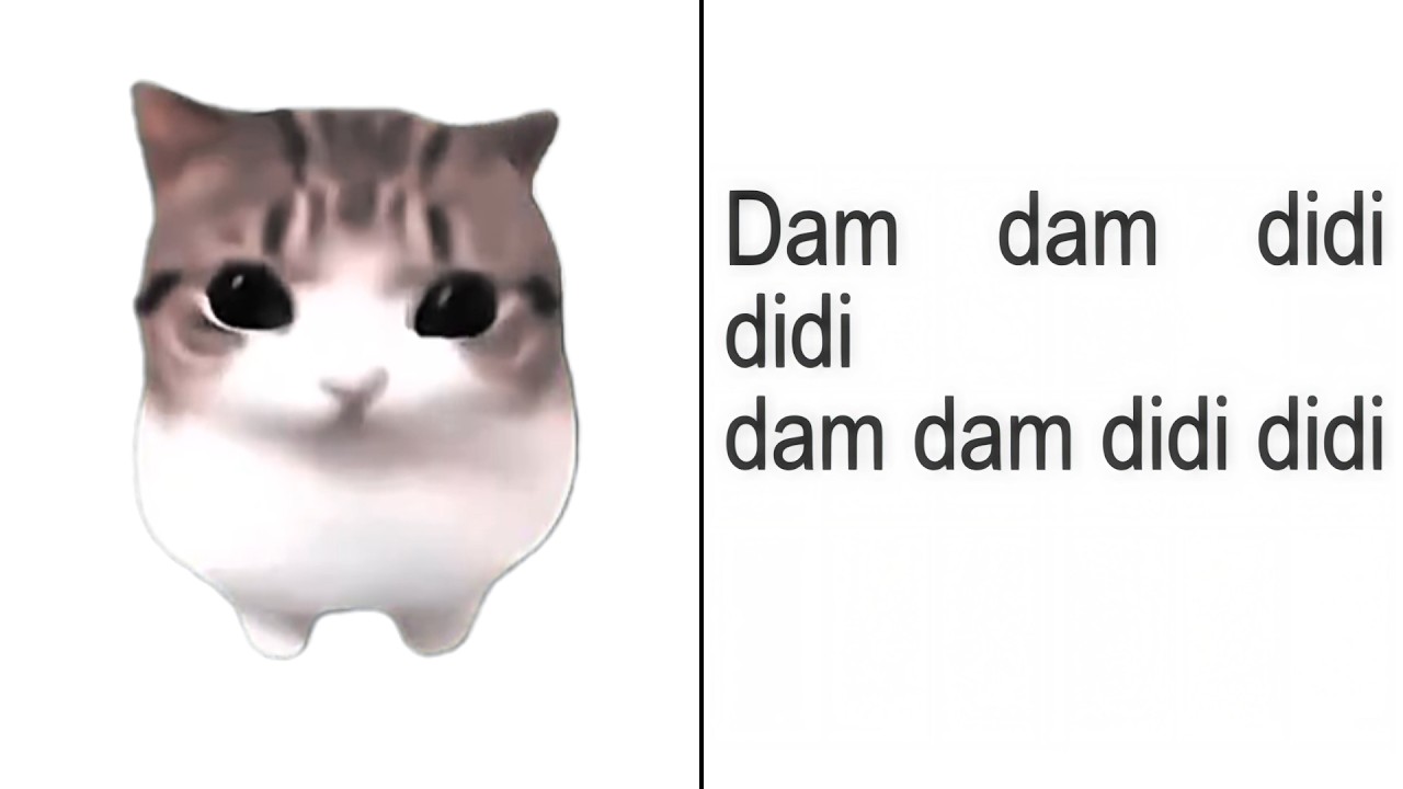 Dam Dam Didi Didi Cat Meme Full Version Lyrics