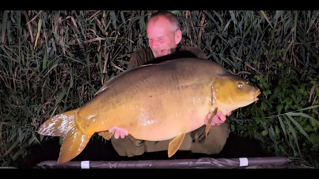 Parco del Brenta Italy, Carp Fishing August 2024