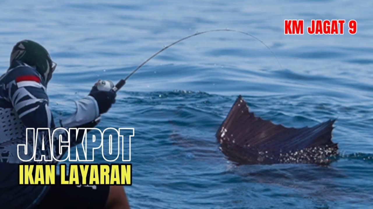 Kalau udah rejeki nya Takan kemana//jackpot ikan layaran