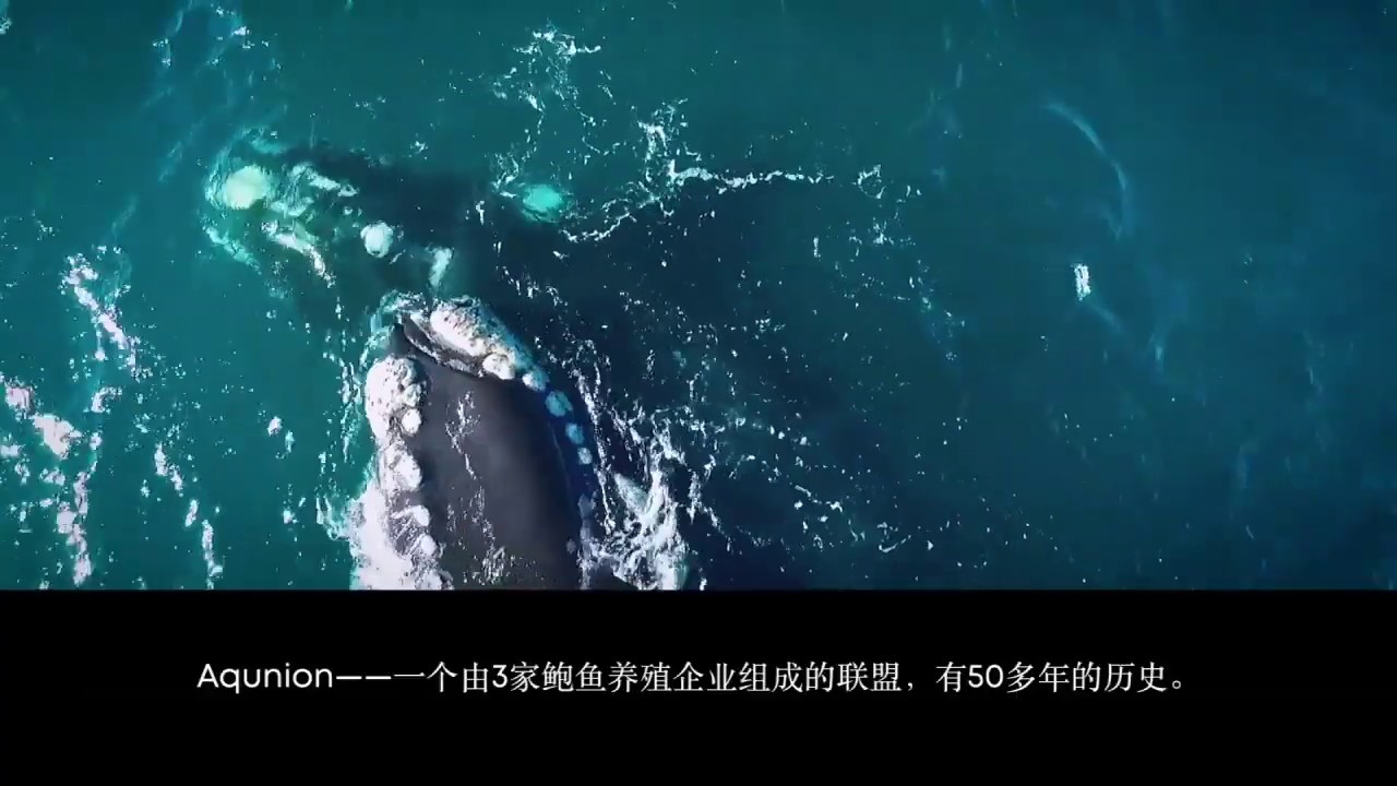 Aqunion Corporate Video