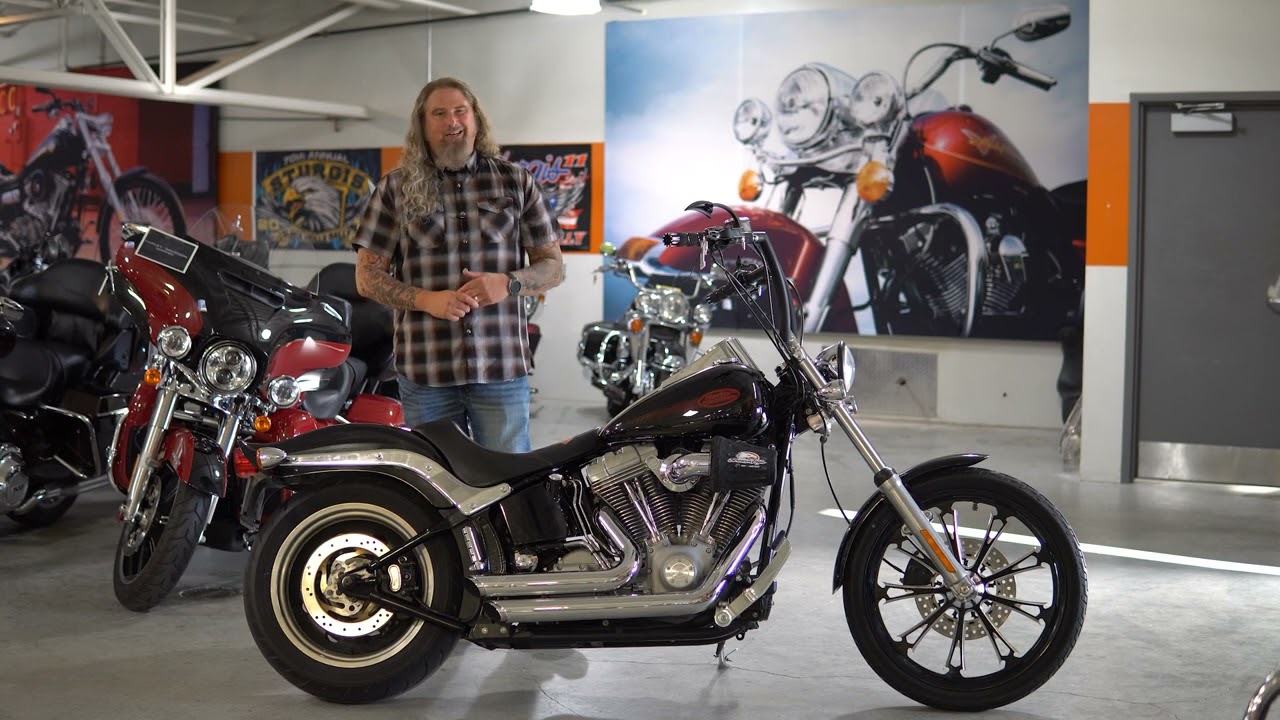 2006 Softail Standard with extras