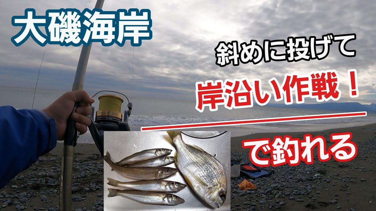 【大磯海岸シロギス】岸沿い作戦！近距離で釣る