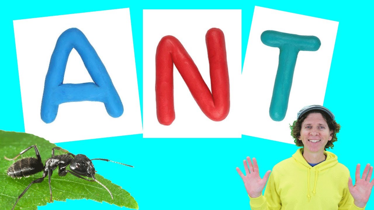 A Is For ANT | Spelling Songs | Dream English Kids