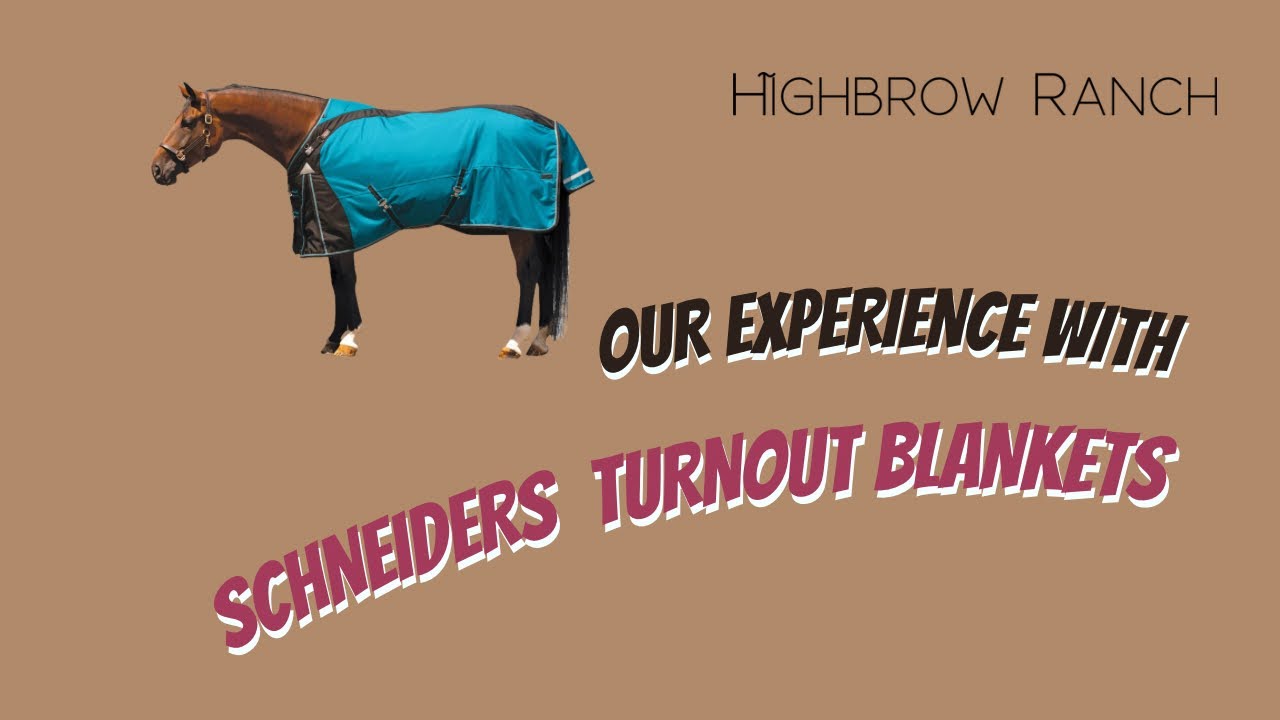 Schneider’s Turnout Blanket Review