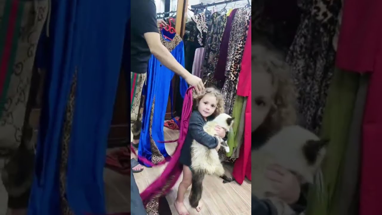 SULTANA CHERINE LIVEليتيسيا هبلت القطة 🥹🥹