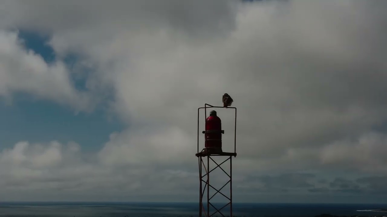 The Eagles view