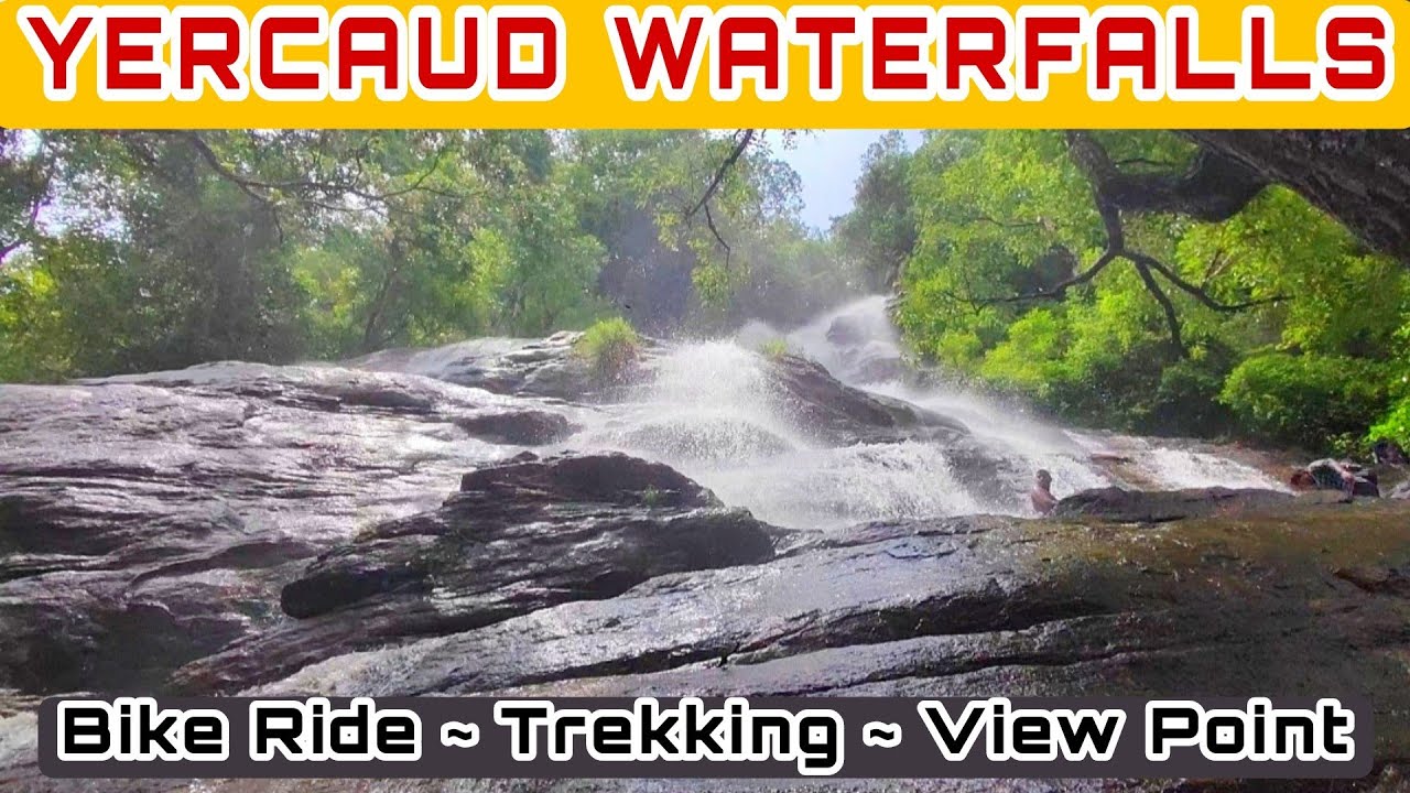 YERCAUD HILLS KILIYUR WATERFALLS | Tamil Vlog | Yamaha FZ X | Travelling Nadodi