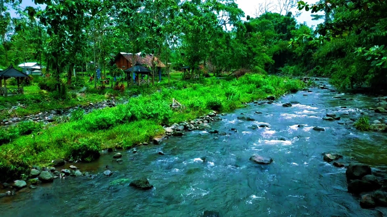 1 Hour Relaxing River Sounds 🌿 Gentle Water Flow for Sleeping, Meditation & Stress Relief