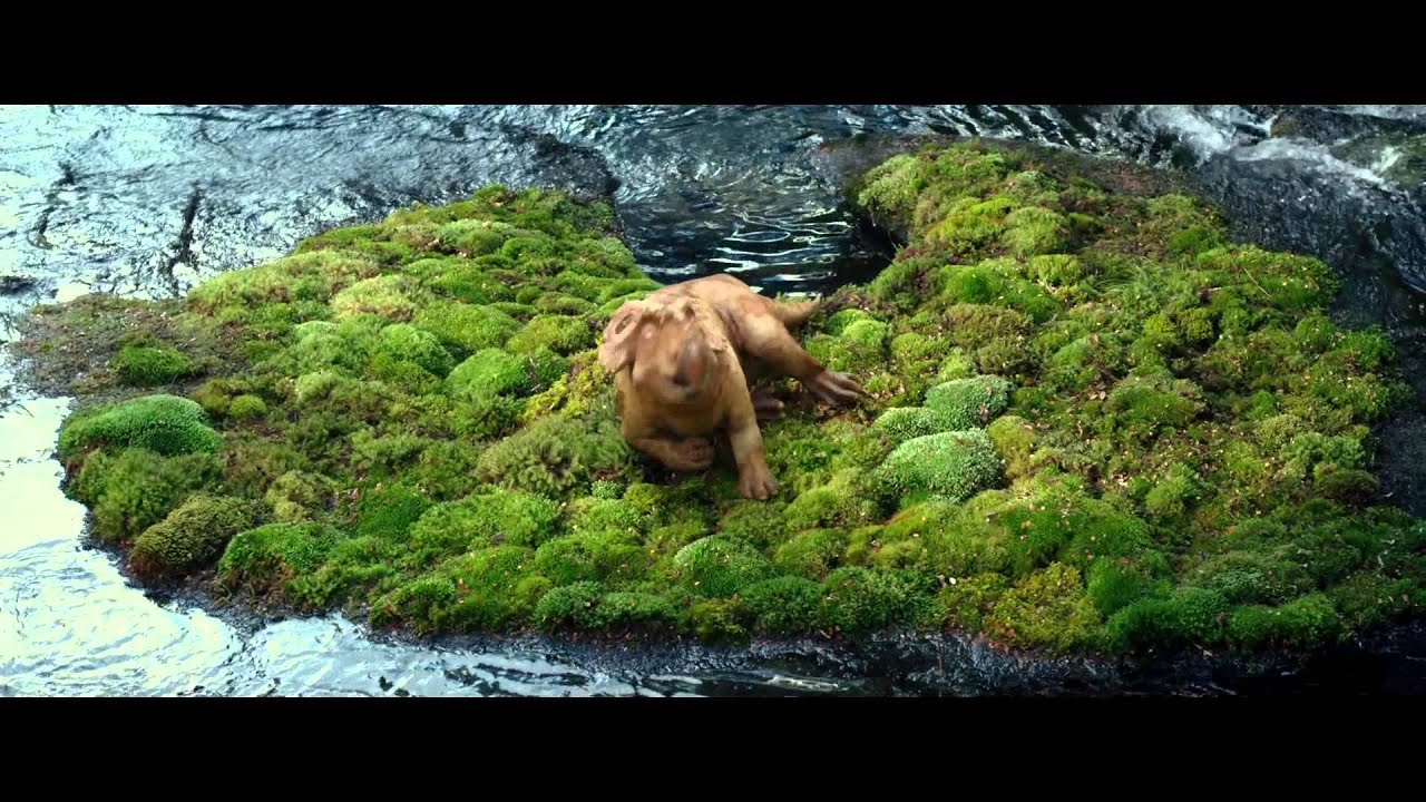 WALKING WITH DINOSAURS | International Trailer