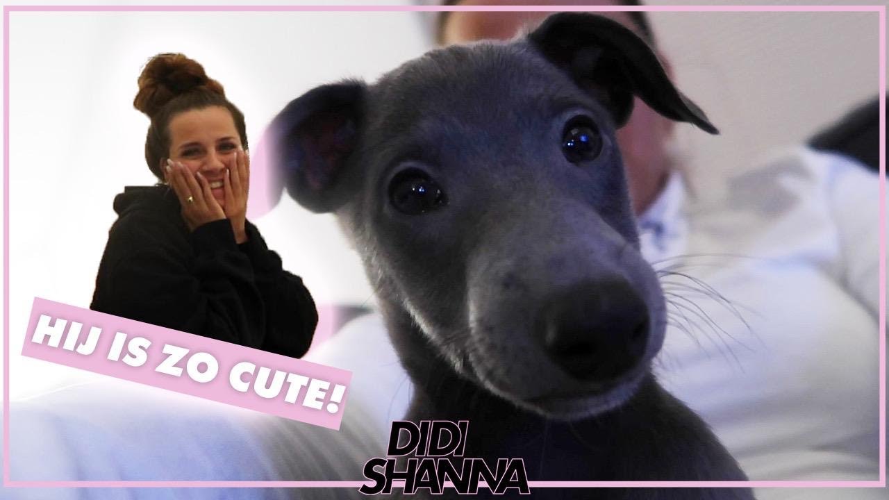 IK HEB EEN PUPPY! - Didi Shanna
