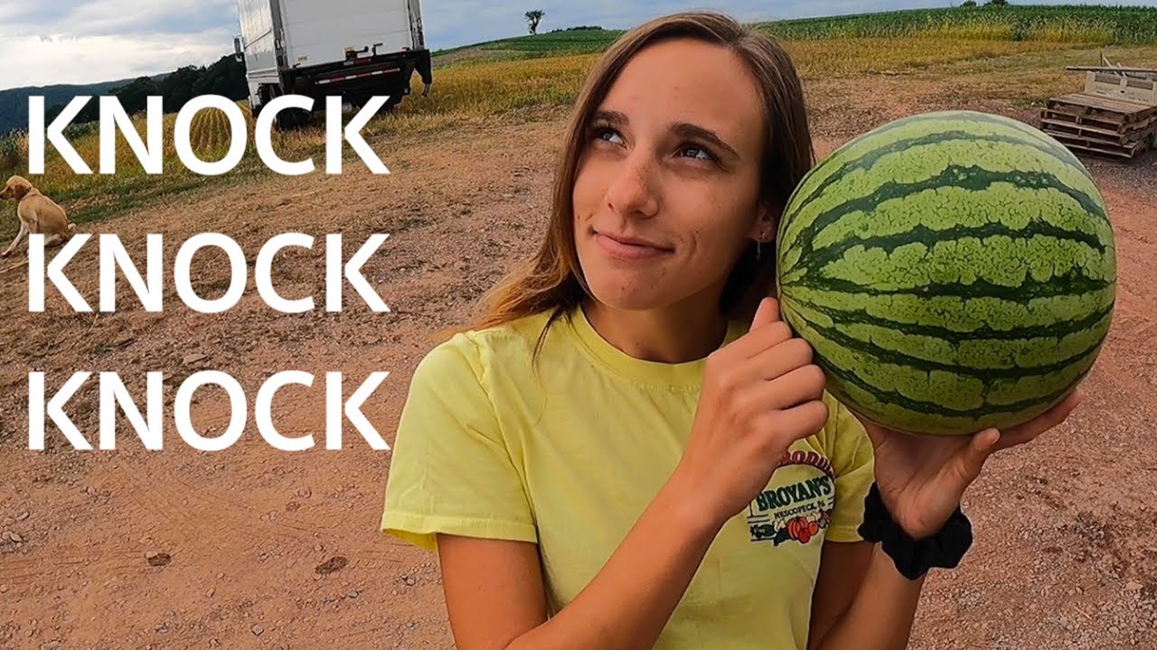 How To Tell If You're Buying A Ripe Watermelon???